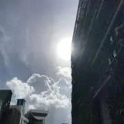 こはる