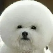 ∞夢叶∞の画像