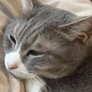 ∞∞∞の画像