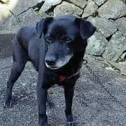 神ってる