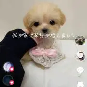 シェリ