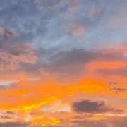 Mikanの画像