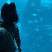 yu☆の画像