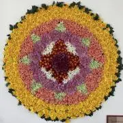 DCROの画像
