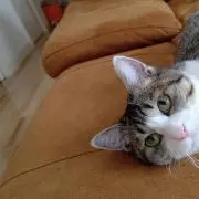 ゆみゆみこ♪