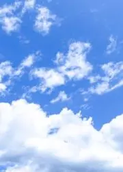 抹茶の画像