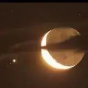 cillの画像