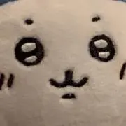 あめんぼ。購入前にコメントください!の画像