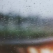 rの画像