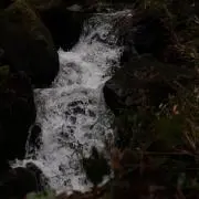 ぎたの画像