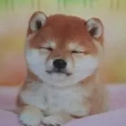 たかとまとの画像