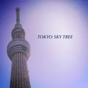 ノアの画像
