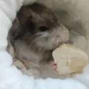 やや