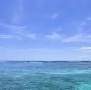 ダッフィー
