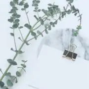 まるの画像