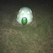 です。