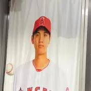 肉の画像