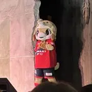 りの画像