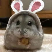 もち屋の画像