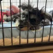 こうへの画像