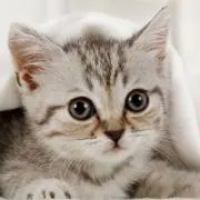 まりんの画像