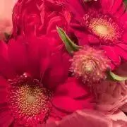 レイチェルの画像