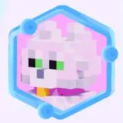 +shipの画像
