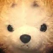 パルパル【値下げ交渉可】
