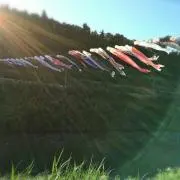 Chiiiの画像