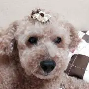 えりばろ
