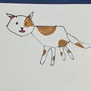 sari-naの画像