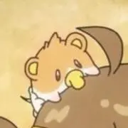 ツキミの画像