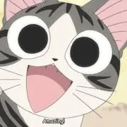 ISATの画像