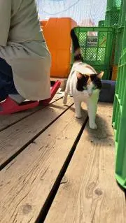 りーの画像