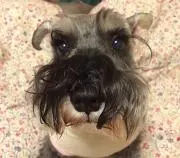 ⭐︎こたじろう358⭐︎の画像