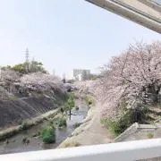 samidare