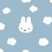 Tチャン【断捨離中♡】の画像