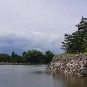 ココナッツの画像