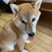 バリークロスの画像