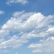 Qの画像