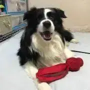えこの画像