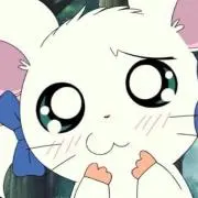 ❤︎プロフ必読