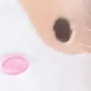 こたこた