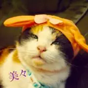 Mei2016