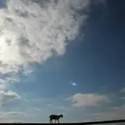 める