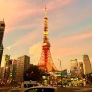 martindb10の画像