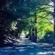 シュート缶