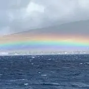 茶々ひめ