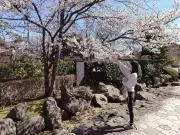 MstAr★の画像