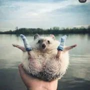 さーの画像